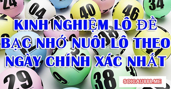 Kinh nghiệm lô đề bạc nhớ nuôi lô đề theo ngày chuẩn xác nhất