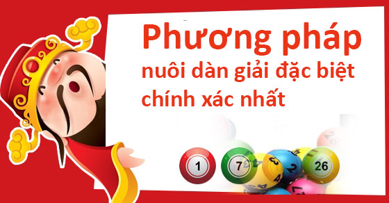 tổng hợp 10 cách nuôi dàn đề hiệu quả năm 2025