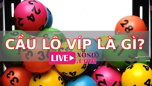 cầu lô vip bạch thủ là gì? soi cầu lô vip bạch thủ bắt lô phát tài